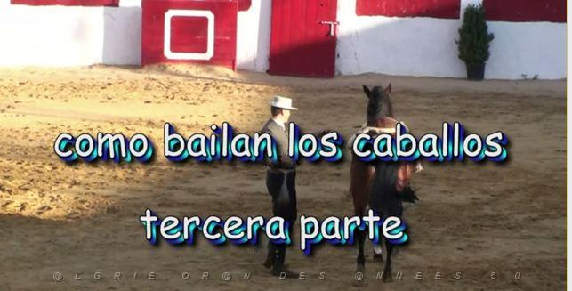 071 Villanueva de Alcardete como bailan los caballos tercera parte.JPG